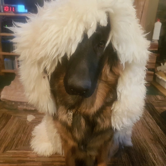 Meet your Posher, Mike - Picture 1 of 1